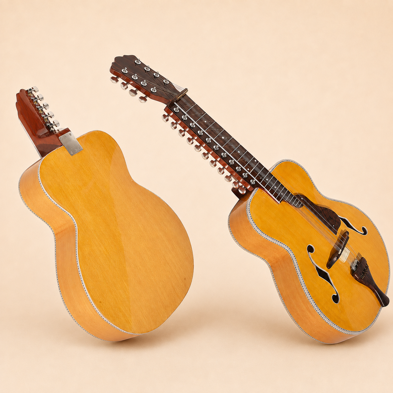 Mohan Veena front, back and headstock views on warm ivory background