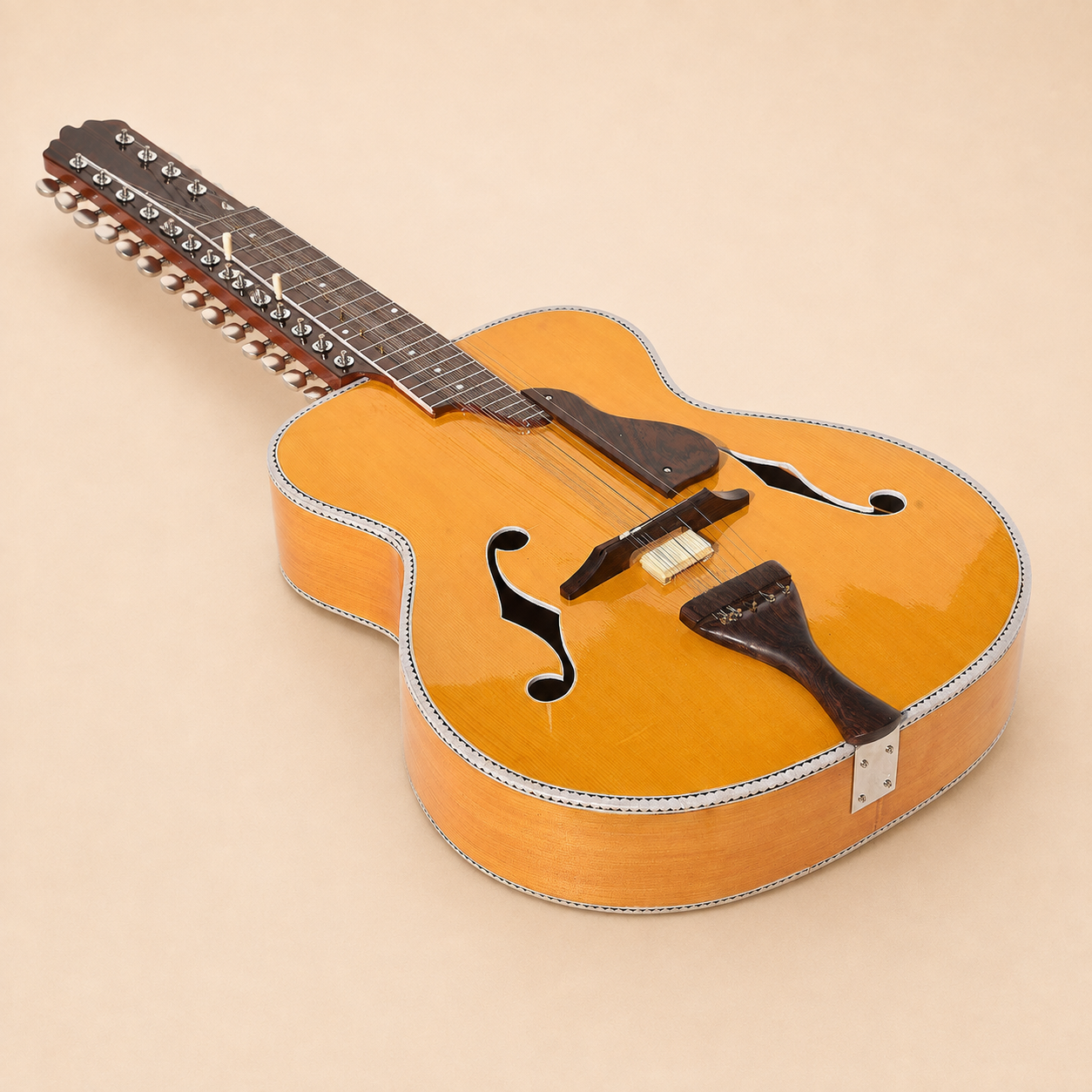 Mohan Veena acoustic body and sympathetic strings on warm ivory background
