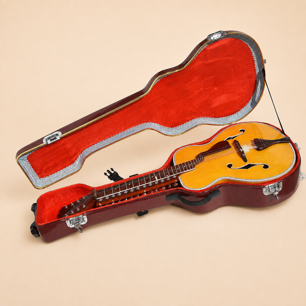 Mohan Veena with fitted fiber hard case on warm ivory background