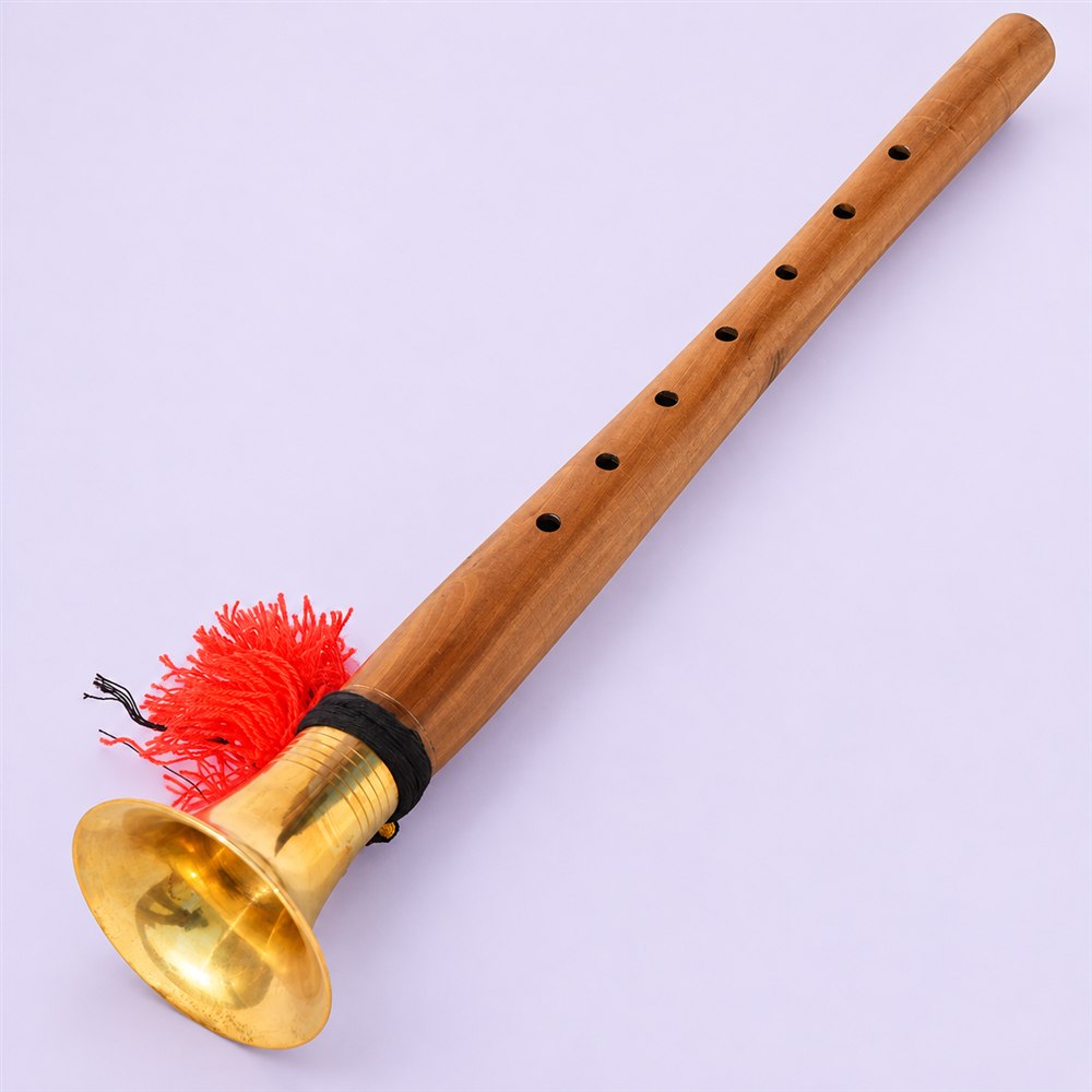 Indian shehnai front view showing finger holes and brass bell